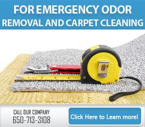 Mold Removal - Carpet Cleaning Belmont, CA