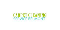 Carpet Cleaning Belmont