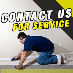 Contact Carpet Cleaning Services